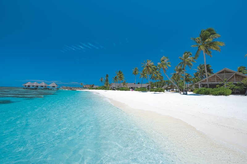 Ferien im Cora Cora Maldives - hier günstig online buchen